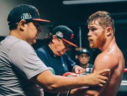 фото - Канело Альварес: У меня нокауты лучше, чем у Головкина