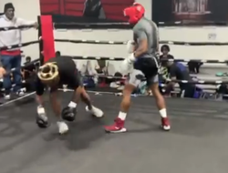 фото - Как Шакур Стивенсон получил травму во время спарринга: видео