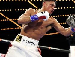 фото - Бой Василий Ломаченко − Джемейн Ортис: статистика ударов