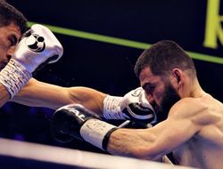 фото - Riyadh Season: что дальше для Бетербиева, Бивола, Паркера, Баколе и остальных после 22 февраля