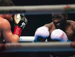 фото - Канело и Кроуфорд почти «побили» весь ростер UFC