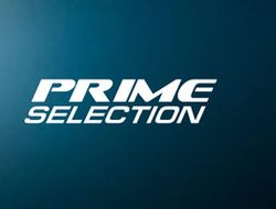фото - 11 июня в Краснодаре стартует новый бойцовский проект Prime Selection