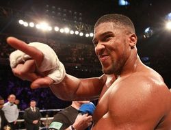 фото - Возвращение Тайсона Фьюри: промоутер Джошуа уже звонил