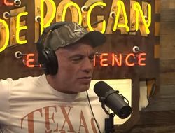 фото - Роган обратился к Уайту. Требует изменений в правилах UFC