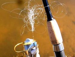 фото - WBA: Если Ортис проиграет Томпсону, Устинов сразится с победителем боя Фьюри–Кличко II