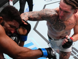 фото - Аллен взял реванш у Кёртиса. Результаты UFC Fight Night 240