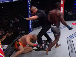 фото - Топ-10 нокаутов 2023 года в PFL: видео