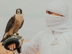 фото - Ломаченко проиграл мне, проиграет и Хэйни, но нужен хороший джеб — Ортис