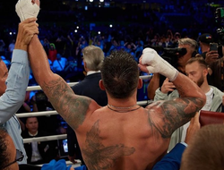 фото - Усик прокомментировал работу Фьюри на лапах: видео