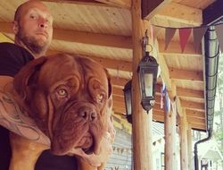 фото - Уайлдер встретится с духом викингов, пугает Хелениус