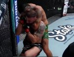 Эрнандес не заметил Долидзе. Все результаты UFC on ESPN 72
