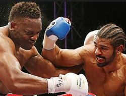 фото - «Это война»: Дерек Чисора пришёл к Дэвиду Хэю и стал угрожать супертяжеловесам