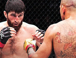 фото - Перейре придётся дать бой Анкалаеву. Такое решение принял Уайт