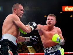 фото - Атлетическая комиссия Невады приостановила все боксёрские мероприятия? Отвечает глава организации