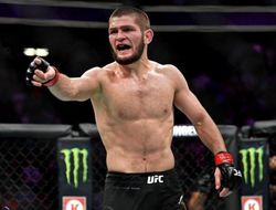 фото - Наказание для Нурмагомедова и Макгрегора: вынесено решение