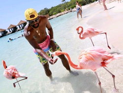 фото - Мэйуэзер кормит фламинго, тренировка и танцы Усика, Гвоздик встретился с диаспорой — соцсети 