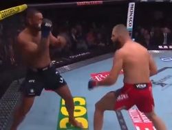 фото - Ульберг нокаутировал благородного Прохазку и взял титул. Реакция Анкалаева