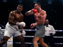 фото - Как дети: Уайлдер считает, что Фьюри впечатлил в бою с Кличко, а Джошуа — нет