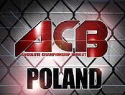 фото - 5 причин, по которым стоит посмотреть турнир ACB 29