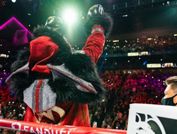 фото - Деонтей Уайлдер нарушил молчание: заявление американца