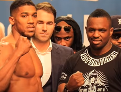 фото - Официально! Джошуа и Уайт подерутся в третий раз