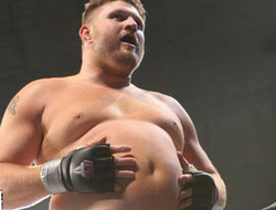 фото - Все результаты «арабского» UFC Fight Night 40: Minotauro vs. Nelson