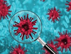 фото - В Британии отменено главное событие января в боксе: ковид