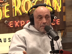 фото - Макгрегор жутко разозлил Рогана: «Чувак, просто закрой хлебало!»