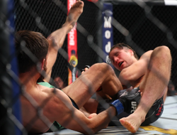 фото - Родригес–Ортега, Салихов–Ли. Видео лучших моментов UFC on ABC 3