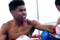 Видео боя: Шакур Стивенсон — Роксберг Райли, HD 1080