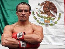 фото - Хуан Мануэль Маркес приступил к спаррингам