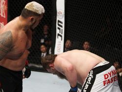 фото - UFC FIght Night в Японии: Марк Хант обеспечил Рою Нельсону второй нокаут в карьере