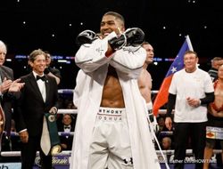 фото - Джошуа передумал драться с Уайлдером в США
