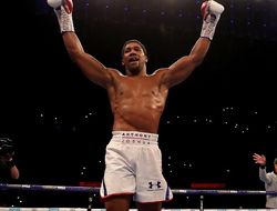 фото - Джошуа победил Поветкина: комментарии Херна, Усика, Бивола, Хэя, Бриггса и Валкарселя