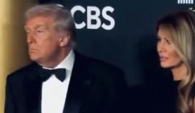 Трамп рассказал, как будет выглядеть UFC White House: «Будет 8 или 9 титульников!»