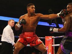 фото - Только два боя круче реванша Джошуа – Уайт. Хирн назвал все варианты