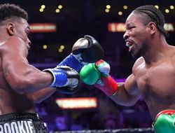 фото - Радостный стример снял махач в рингсайде во время боя Спенс–Портер: видео