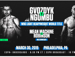 фото - Официально: Гвоздик подерётся с Энгумбу: комментарии бойцов, бои андеркарда