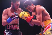 Видео боя: Альберто Мачадо — Эндрю Кансио