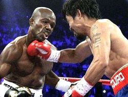фото - Пакьяо нокаутирует Брэдли за девять раундов — тренер
