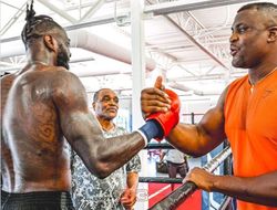 фото - Уайлдер бросил вызов Нганну — Африка, два боя, в том числе и в ММА