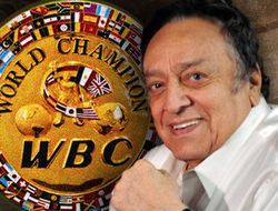 фото - В ноябре WBC решит, с кем должен и может драться Виталий Кличко