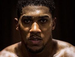 фото - Джошуа собрался по-быстрому разбить Мартина