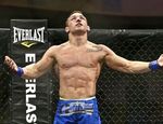 Bellator 165: Чендлер победил Хендерсона и другие результаты