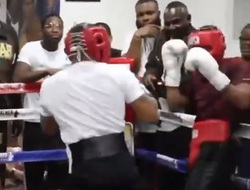 фото - Дэвис избивает Хэйни во время спарринга. Есть видео и реакция Стивенсона