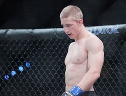 фото - Эсхэм травмирован — у Шлеменко новый соперник на 15 декабря