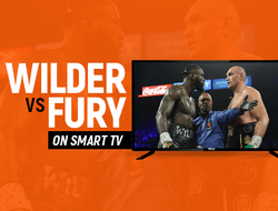 фото - Объявлена стоимость PPV-трансляции шоу Фьюри–Уайлдер 3