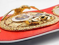 фото - Элиминатор IBF: россиянин подерётся с 9-м номером — остальные отказались