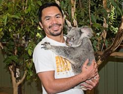 фото - Никакой недооценки, Хорн неспроста идёт без поражений — Мэнни Пакьяо 