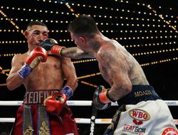 фото - Камбосос тонко потроллил Лопеса